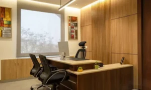 Luxurious MD office interior 1024x614 1